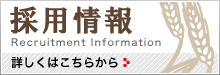 採用情報